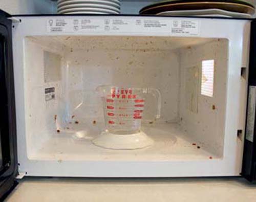 Recept elkészítése Hogyan tisztítsuk ki és varázsoljuk újjá régi mikrohullámú sütőnket, lépés 3